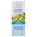White Castle Profumo per Umidificatori e Caloriferi Eucalipto Balsamico 100 ml